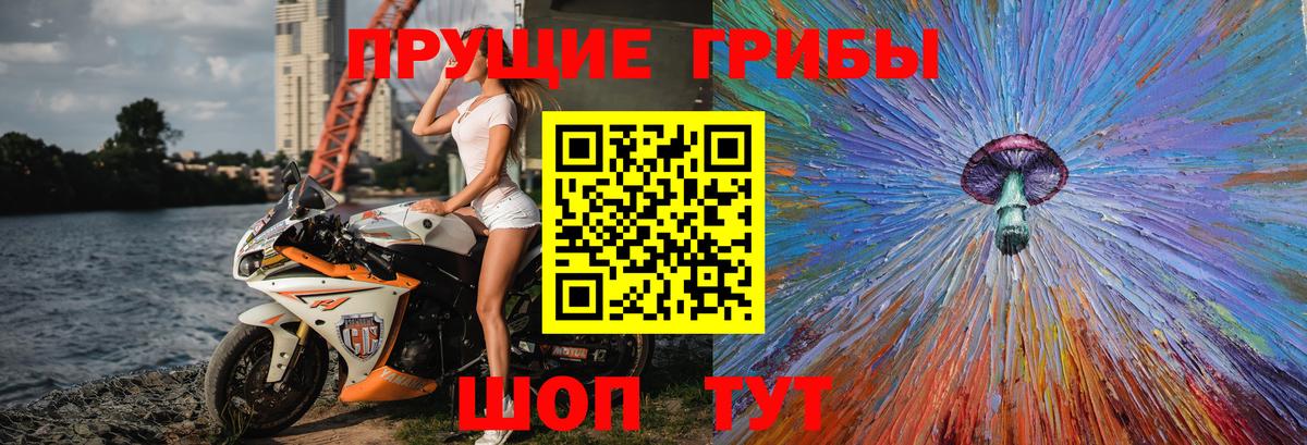 Галлюциногенные грибы Psilocybe  Галлюциногенные грибы прущие грибы  цены   Карпинск  Вход с VPN 